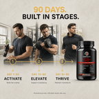 Formulity man metrics 90-Day Journey
